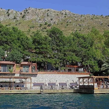 Miamai Butik - Sadece Yetiskin